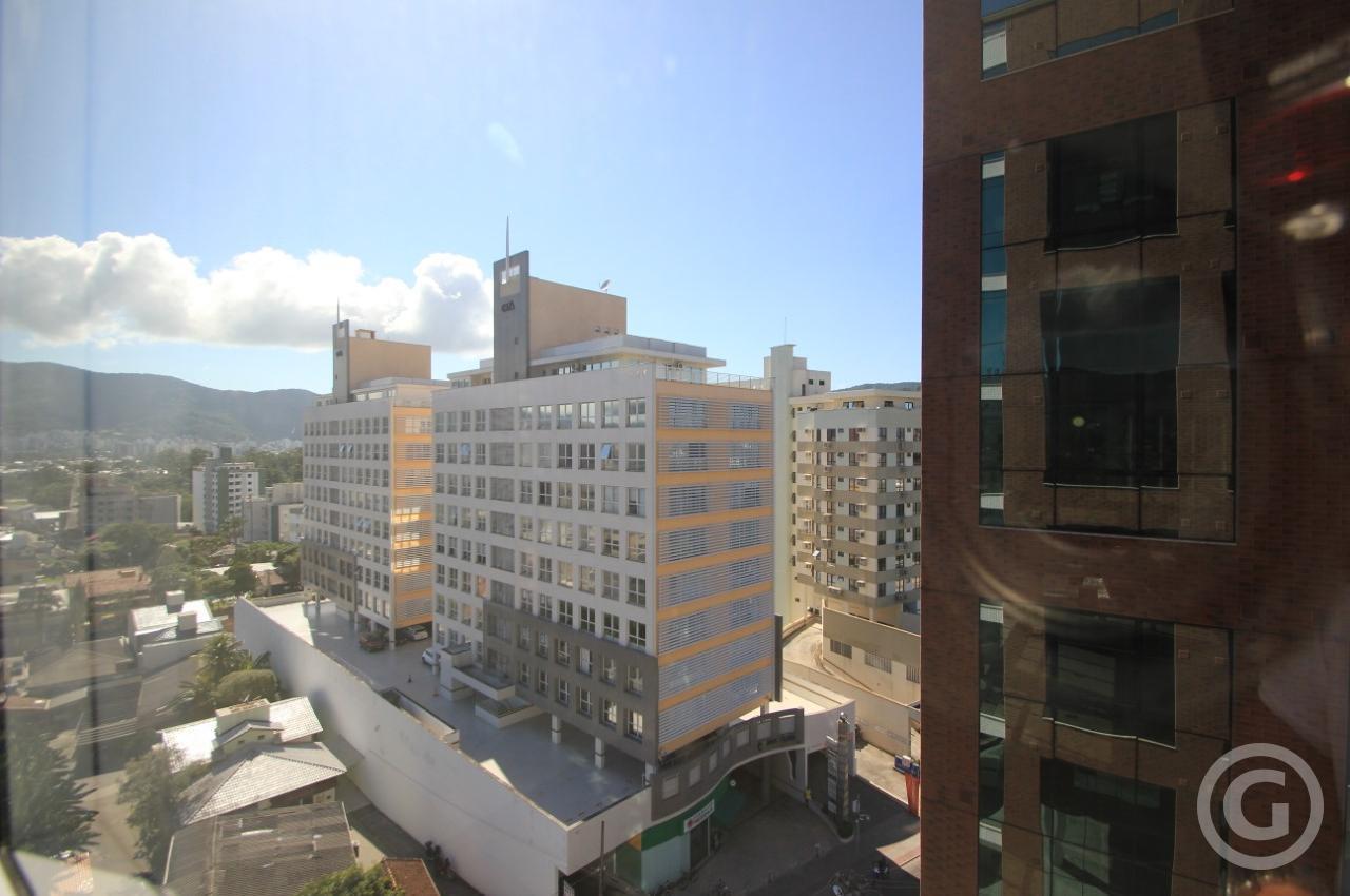 vista lateral 