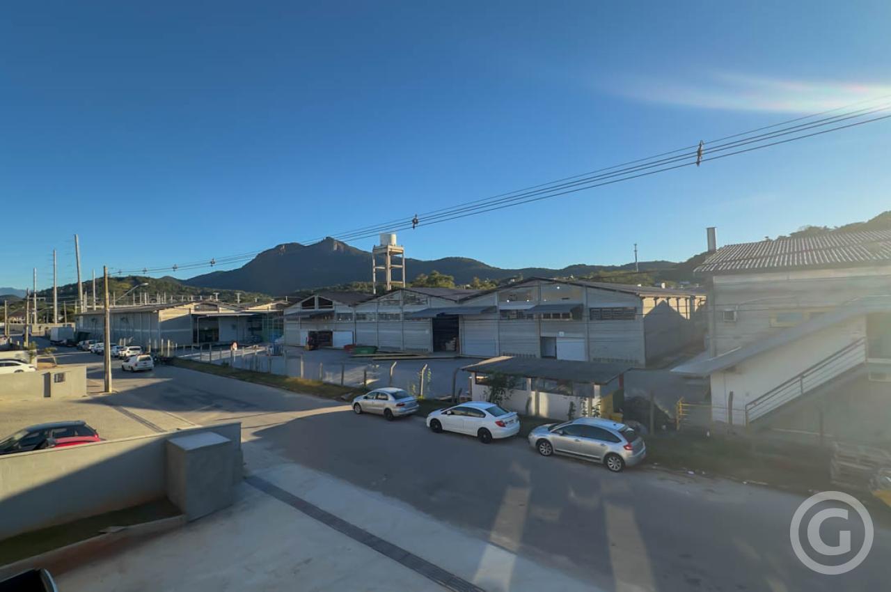 vista 