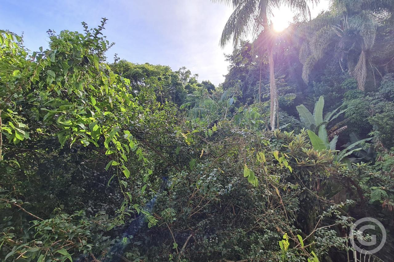 vista