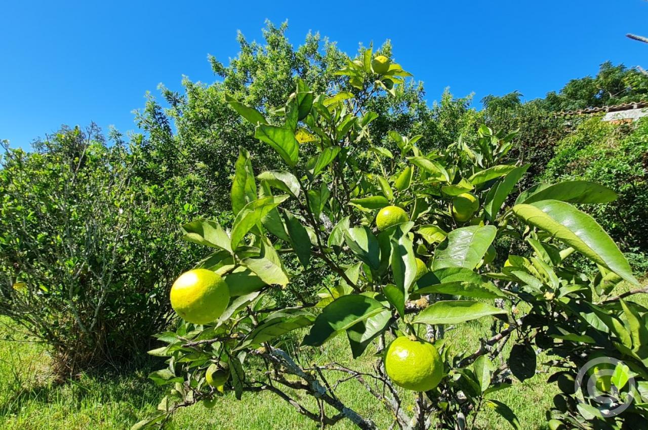 área externa 