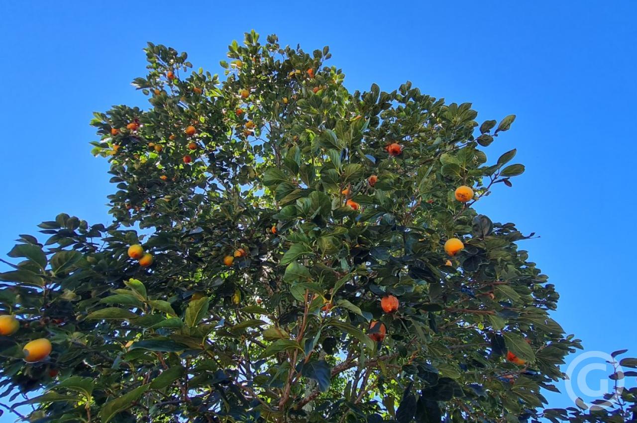 área externa 