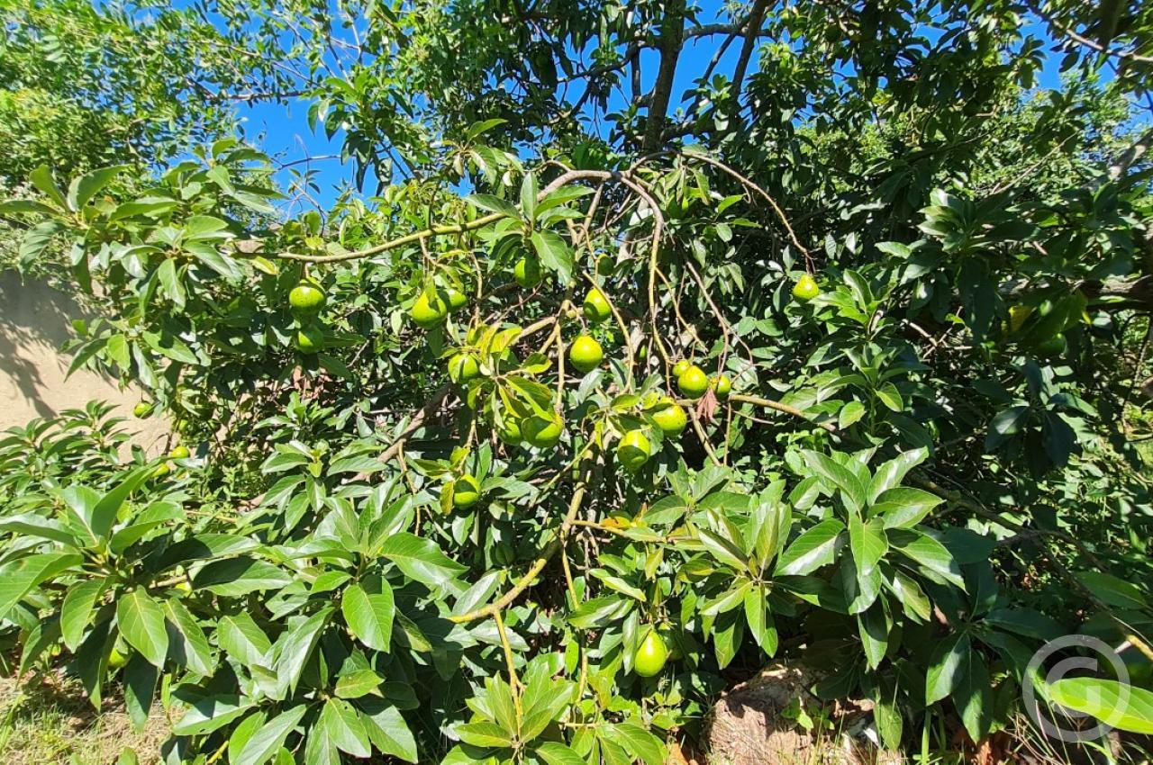 área externa 