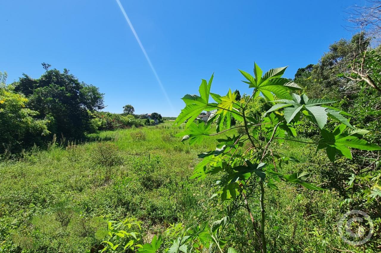 área externa 