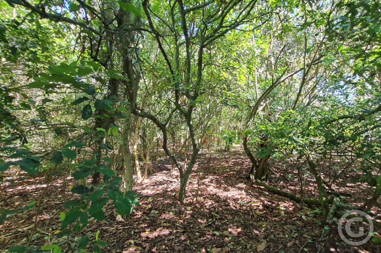 área externa 