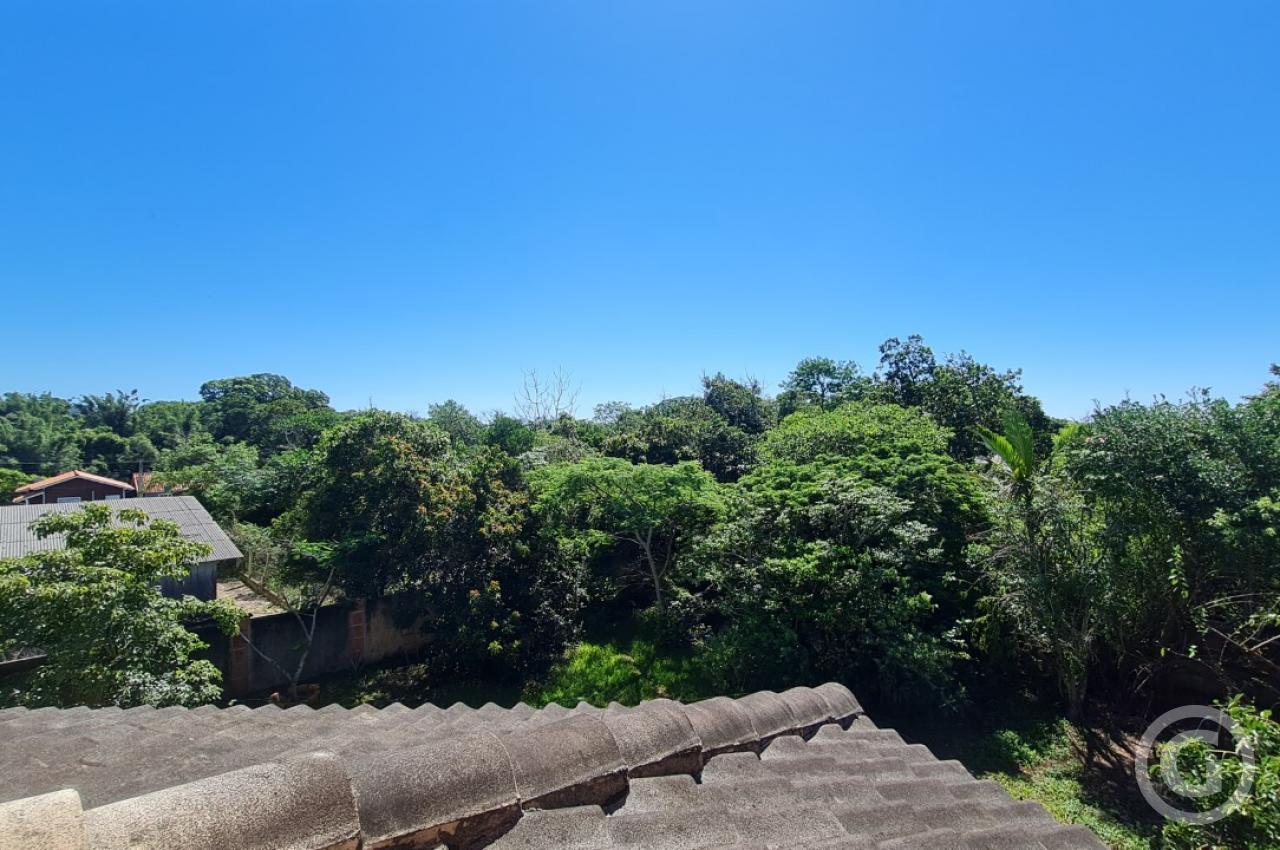 vista 
